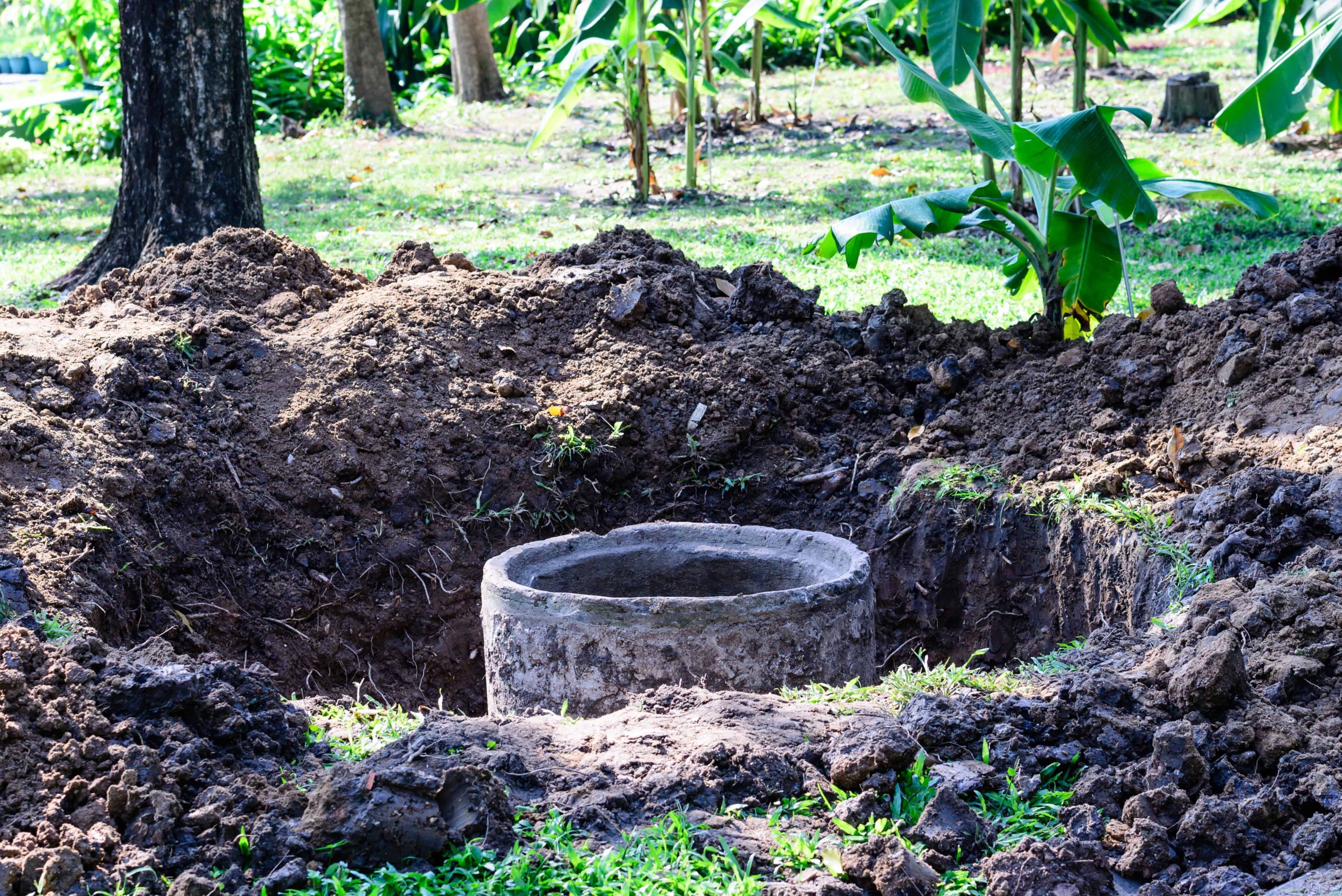 A concrete ring marks a hole in the ground, possibly for septic tank services, surrounded by dirt piles. Green grass and trees frame this outdoor garden or farm setting, hinting at an ongoing project.