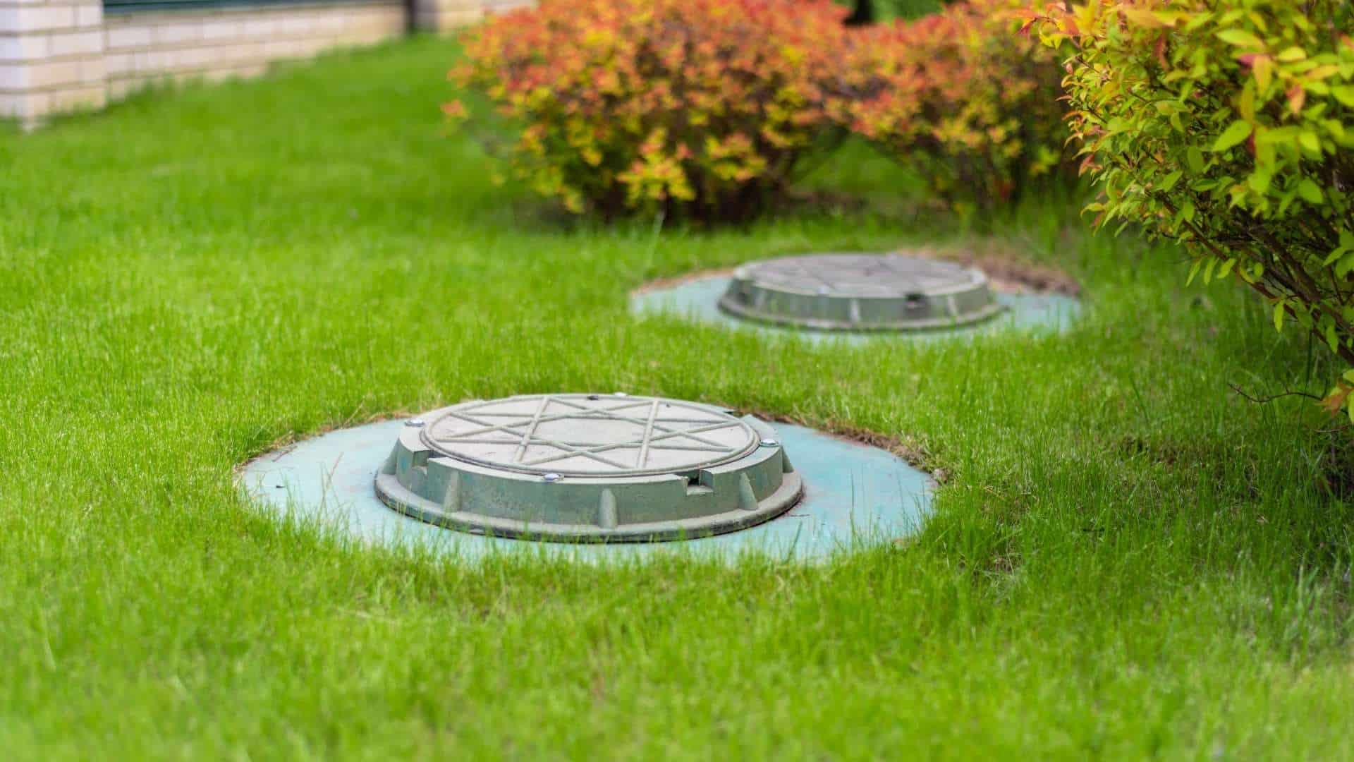 Two round septic tank covers are visible on a lush green lawn, surrounded by neatly trimmed, colorful bushes. The scene suggests a well-maintained outdoor area on a sunny day, hinting at meticulous care, perhaps thanks to reliable septic tank services.