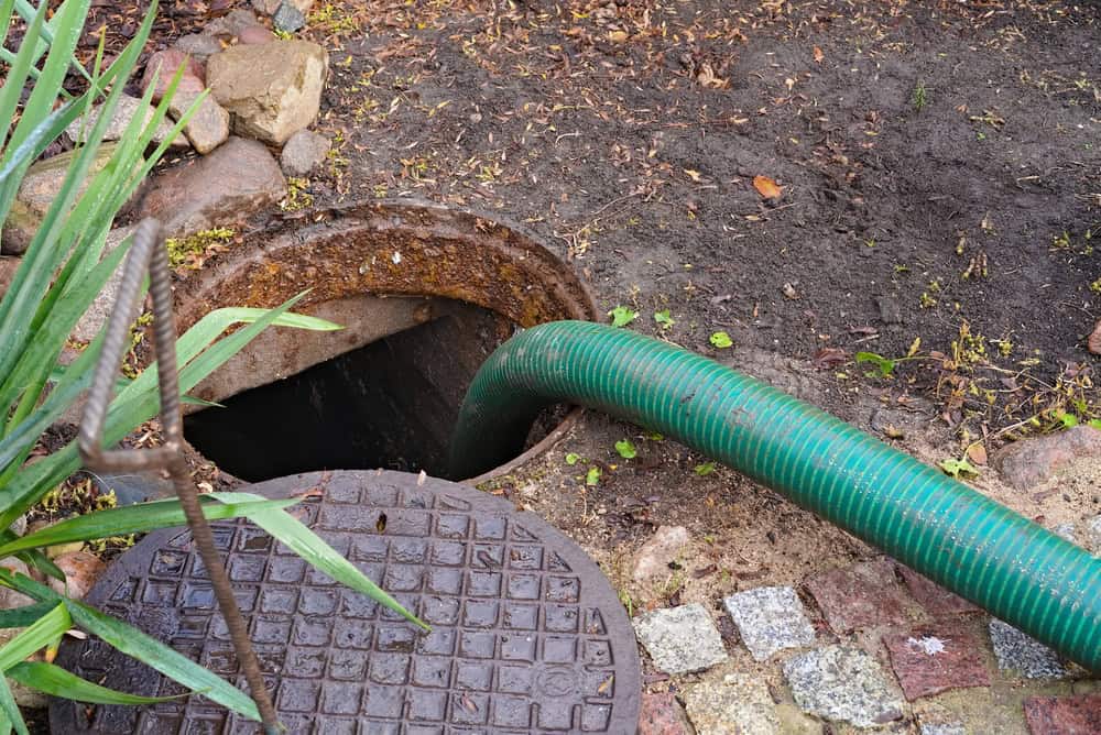 A large green hose is inserted into an open outdoor septic tank. The tank lid is removed and lies nearby on a patch of grass and dirt, surrounded by stones and plants. Expert Septic Tank Services are on-site to ensure the system functions smoothly and efficiently.