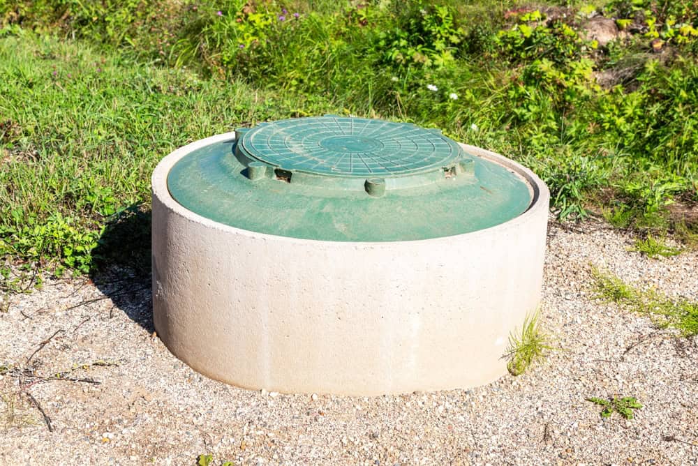 A concrete septic tank with a green plastic lid is situated on a patch of gravel, surrounded by grass and small plants. Whether new installation or maintenance, professional Septic Tank Services ensure your system functions smoothly in this serene setting.