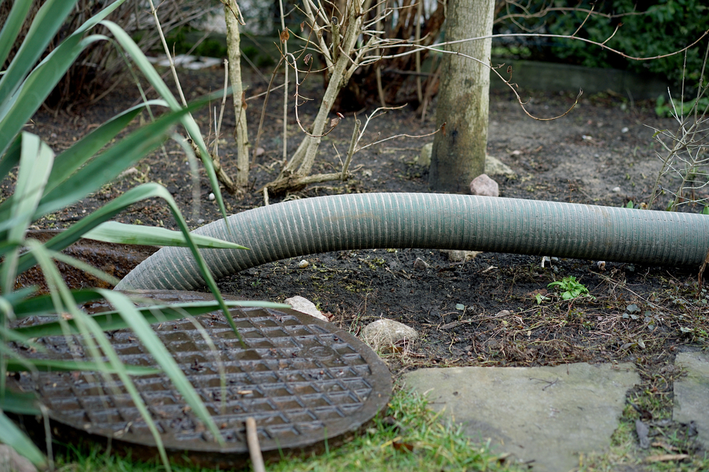 A garden scene with a green hose laying near a round metal manhole cover suggests the presence of septic tank services. The area has sparse vegetation and a few small plants, while bare tree branches are visible in the background. The ground is mostly soil with patches of grass.